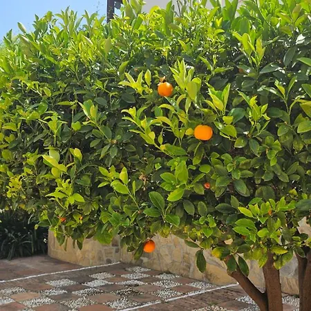 Villa Pueblo Andaluz New Luxury Townhouse Centre Nerja