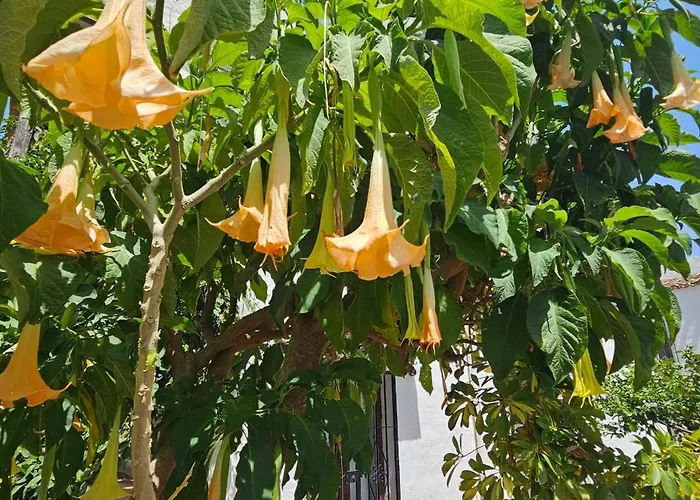 Pueblo Andaluz New Luxury Townhouse Centre Villa